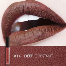 Load image into Gallery viewer, Smudge FREE Long Lasting Focallure Lipstick (24 Colors Available)