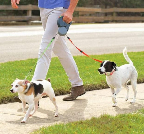 Buy 2 Free Shipping - Dog Leash For Two